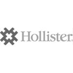 logo hollister france