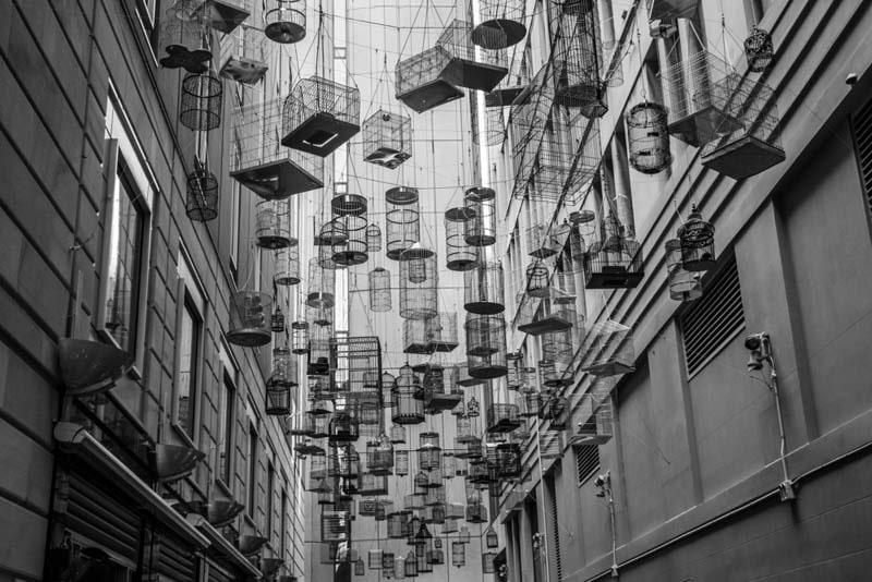 Illustration de notre publication "Algorithmes de recommandation : le mythe des bulles de filtres s’écroule"