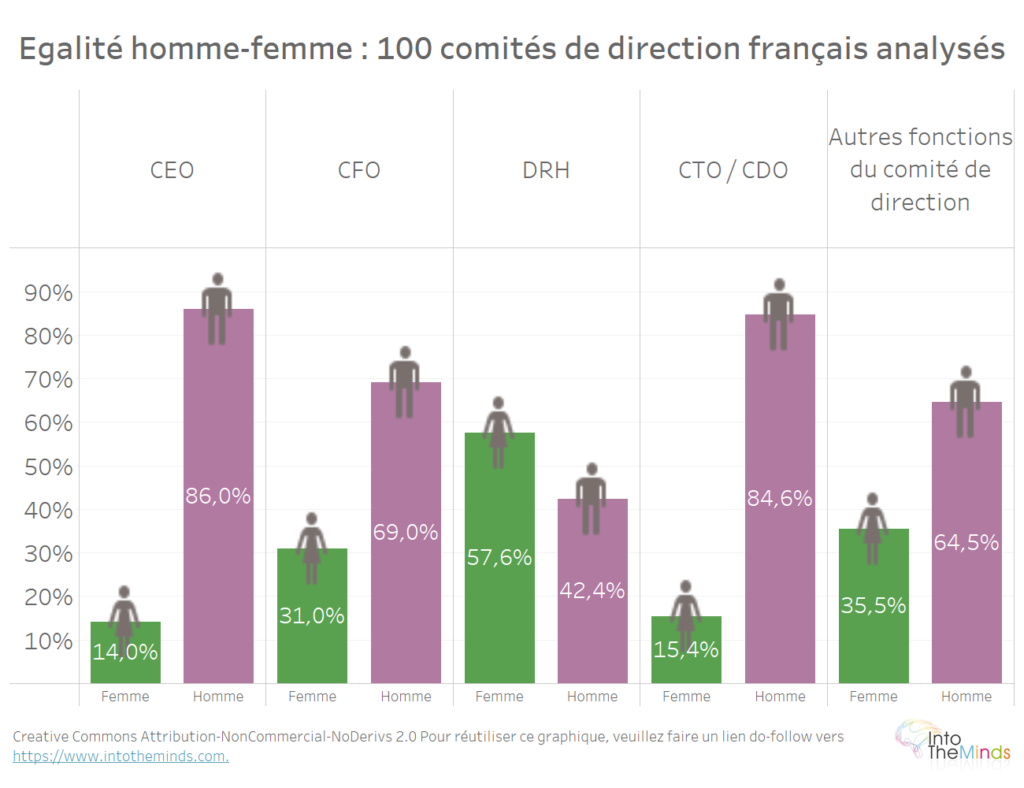 analyse de la diversité homme femme par fonction au sein des comités de direction français