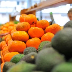 Market research : organic food « baskets »
