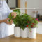 Lilo : Grow your aromatic herbs in your kitchen with 3.0 LED technology