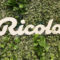 Ricola : ein Pop-up-Store zur Feier des Rebrandings