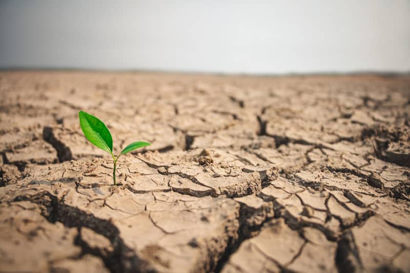 [Podcast] Les périodes de crise stimulent la créativité et l&rsquo;innovation