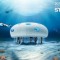 Sony opent een pop-up store onder zee